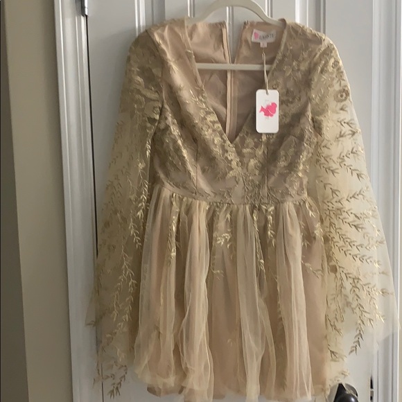 Dresses & Skirts - Never Worn Mini Dress with Gold Embroidery & Lace
